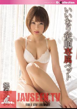 DCOL-014 Studio D*Collection My Exclusive Submissive Pet Mai Satsuki