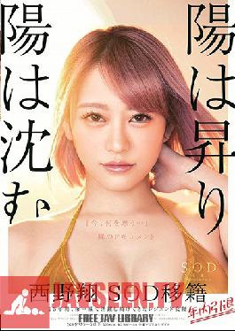 STARS-113 Studio SOD Create - The Sun Rises And The Sun Sets Sho Nishino She's New To The SOD Roster But She's Retiring Within The Year For 15 Years, She Was On The Front Lines As A Legendary Actress So, What Is She Thinking Now... The Documentary Of N