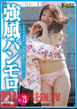 KPG-015 Studio Gakuen Sha Strong Winds Full-On Panty Shots! VOL.15 - Dope Shit Models Photo Session In Strong Winds Special -