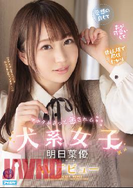 IPIT-031 Dog Girl Who Will Surely Heal You, Ashitaba Yu AV Debut