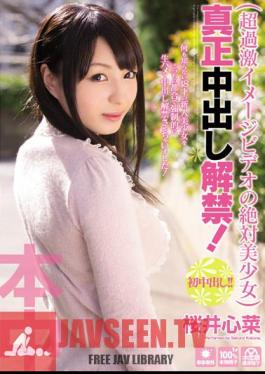 Mosaic HND-113 The Lifting Of The Ban Out Beautiful Girl In Absolute Authenticity Of Cum Video Image! Sakurai Kokorona