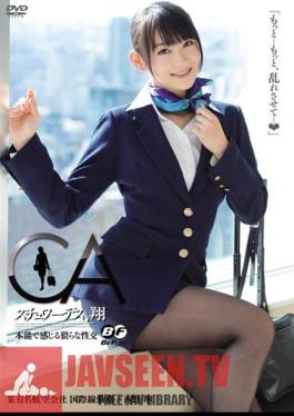 Mosaic BF-240 Sho Nishino Et Al Intercourse  Feel Stewardess, By Instinct Sho