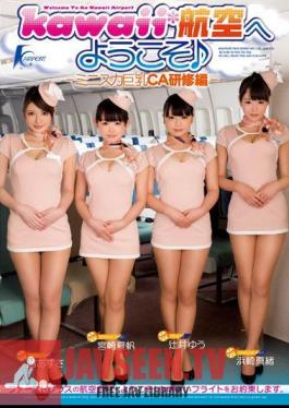 KAPD-026 Ed Training CA Big Mini Skirt - Welcome To Kawaii * Aviation -