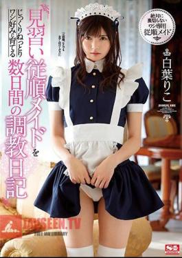 Mosaic SSNI-749 I'm Slowly And Surely Developing This Obedient Maid Trainee Into My Kind Of Woman Over Several Days Of Breaking In Training Riko Shiraha