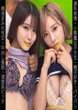 467SHINKI-211 S211-chan & N211-chan