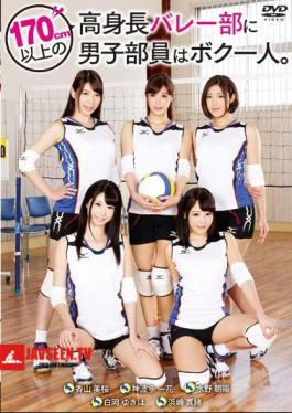 Mosaic T28-439 I'm the only male member of the volleyball club with a height of 170cm or more.