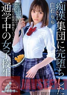 Mosaic T38-003 Momo Shiraishi, A Schoolgirl Commuting To School Who Completely Fell Into A Group Of Molesters