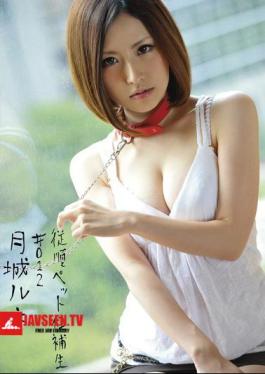 Mosaic INU-028 # 012 Candidates Pet Obedience Rene Castle Mon