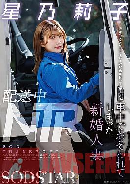 Mosaic START-354 NTR During Delivery: A Newly Married Wife Was Attacked In The Car While Accompanying A Married Veteran Driver On A Delivery - Hoshino Riko