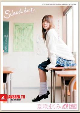 XV-738 School Days Only Summer Flowering Mari